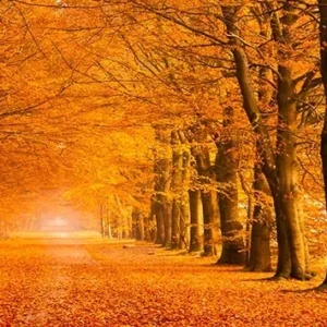 Ouvriers de New York déjeunant sur Une Poutre, 1932 (détail)